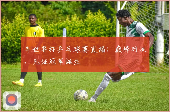 年世界杯乒乓球赛直播:巅峰对决,见证冠军诞生