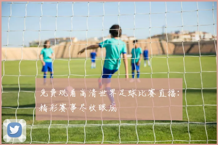 免费观看高清世界足球比赛直播:精彩赛事尽收眼底
