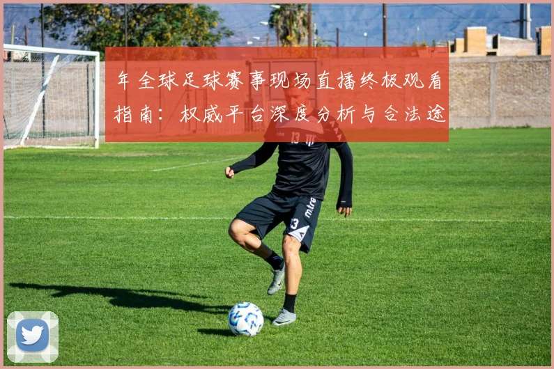 年全球足球赛事现场直播终极观看指南：权威平台深度分析与合法途径全解析